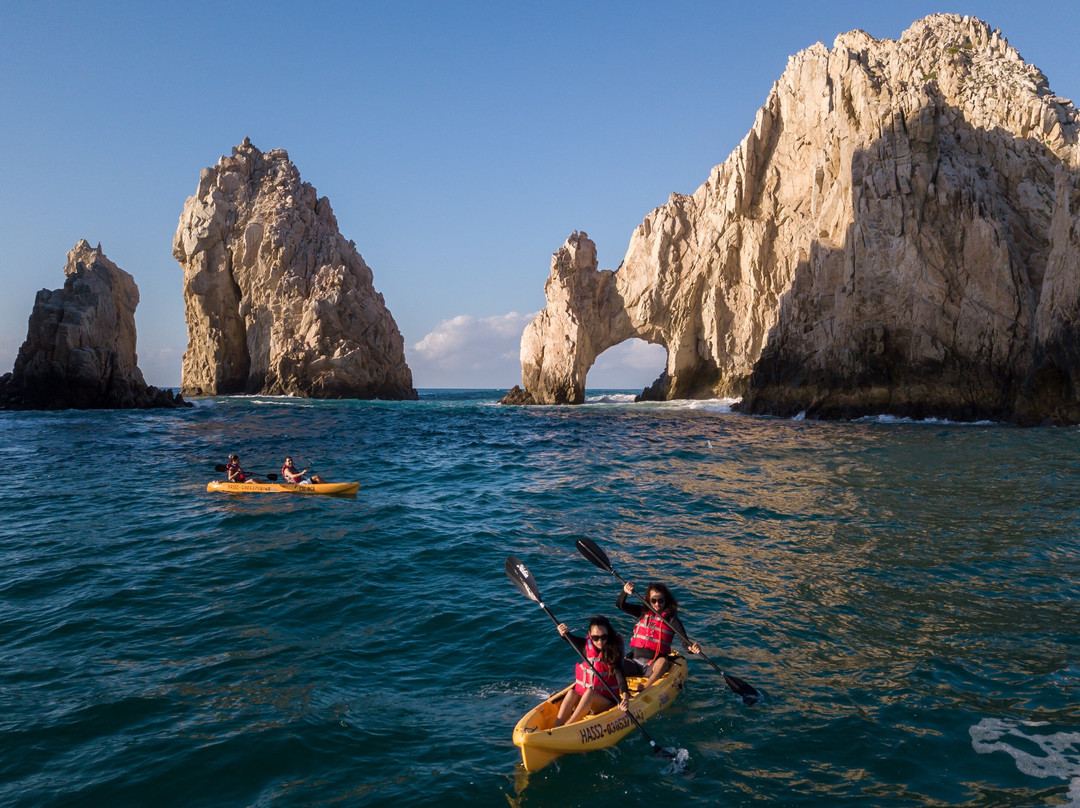 True Baja-卡波圣卢卡斯必去景点
