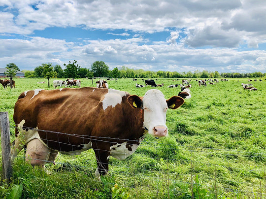 探索Nederweert-Eind