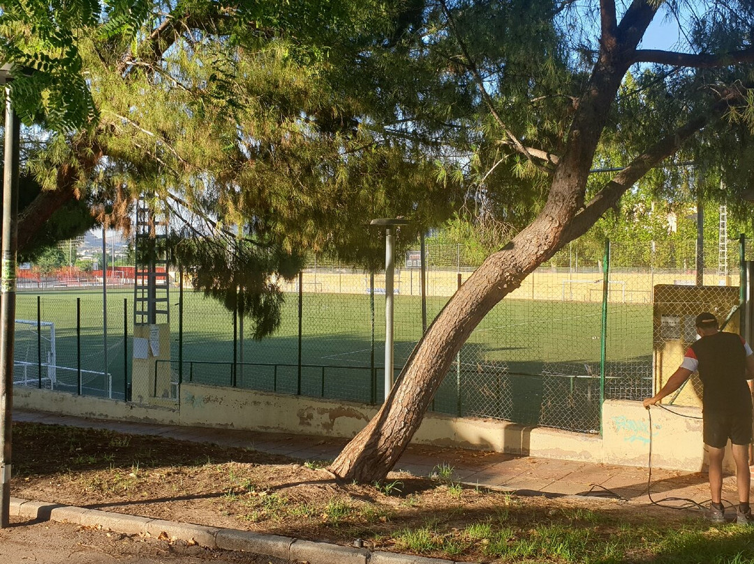 Campo De Fútbol El Esparragal