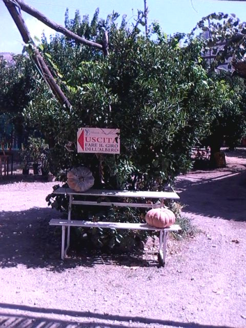 Piano di Sorrento旅游景点-Aranceto Storico