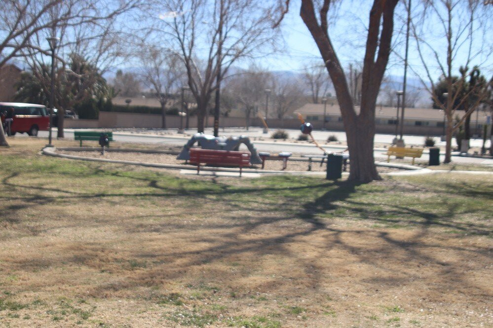 Courson Park Pool景点图片