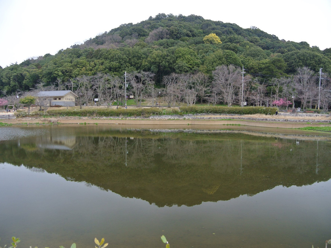 橿原市旅游攻略图片