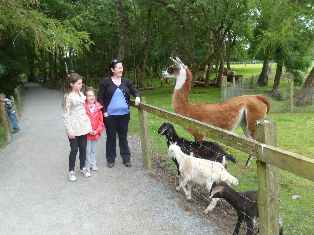 Turoe Pet Farm & Leisure Park景点图片