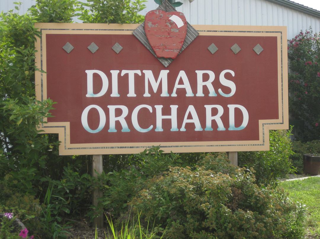 康瑟尔布拉夫斯旅游景点-Ditmars Orchard