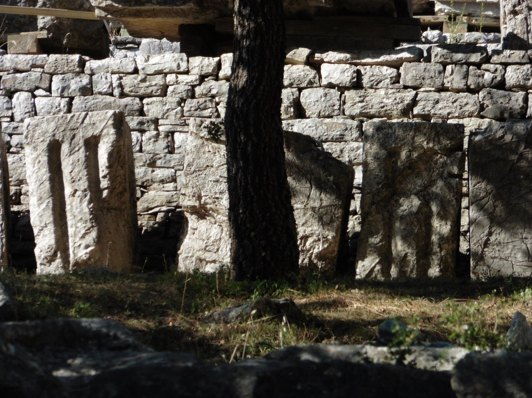 Temple of Apollo Epicurius景点图片