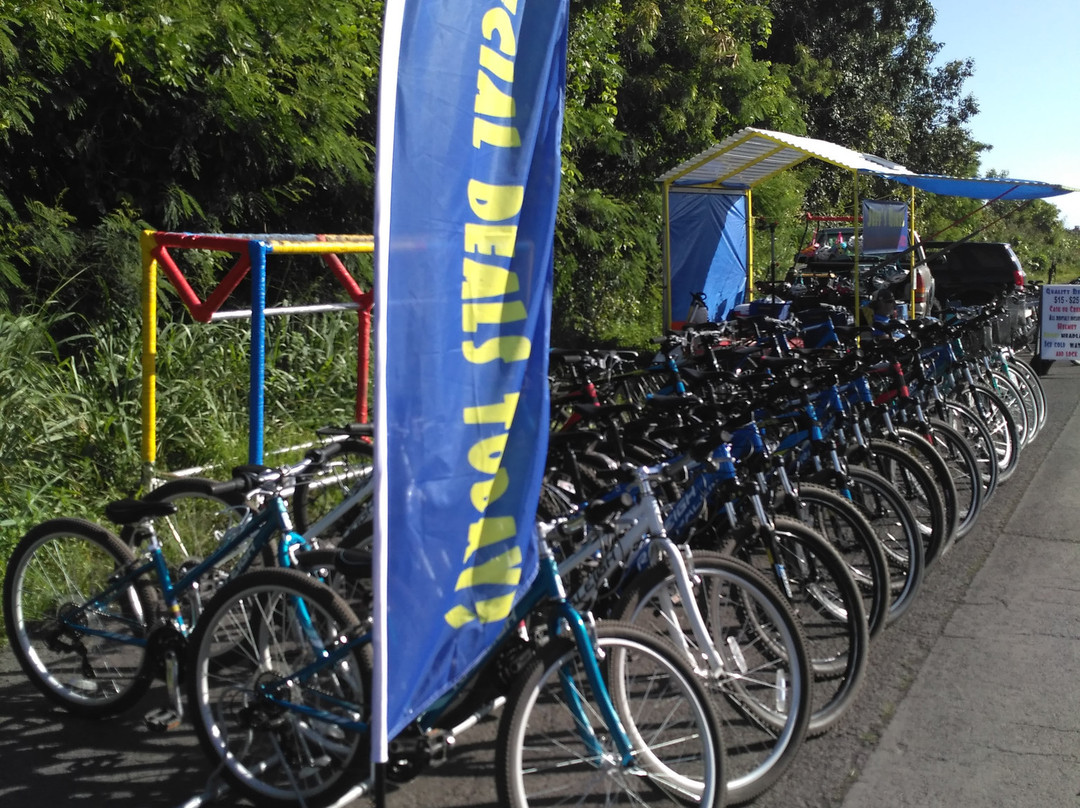 Jeff's Bikes-帕霍亚必去景点