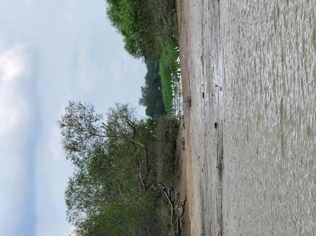 River Cruise Teluk Intan景点图片