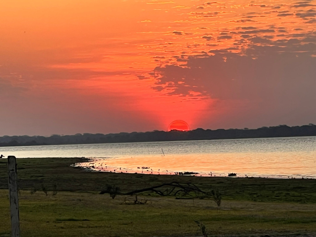 Pantanal - Pousada Sia Mariana