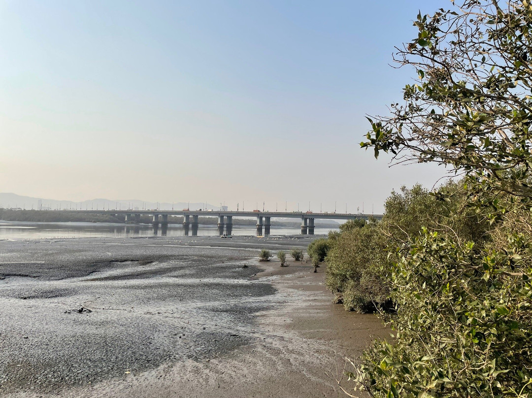 Thane Creek Flamingo Sanctuary景点图片