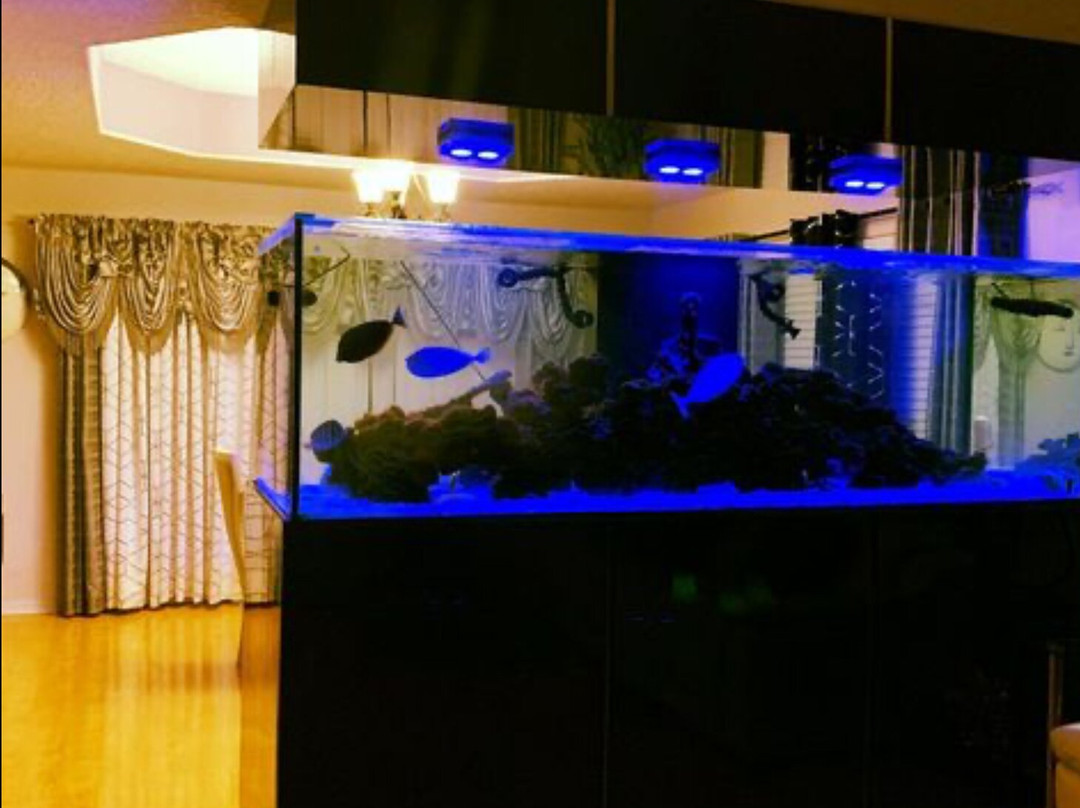 Neptunes Aquariums-海厄利亚必去景点