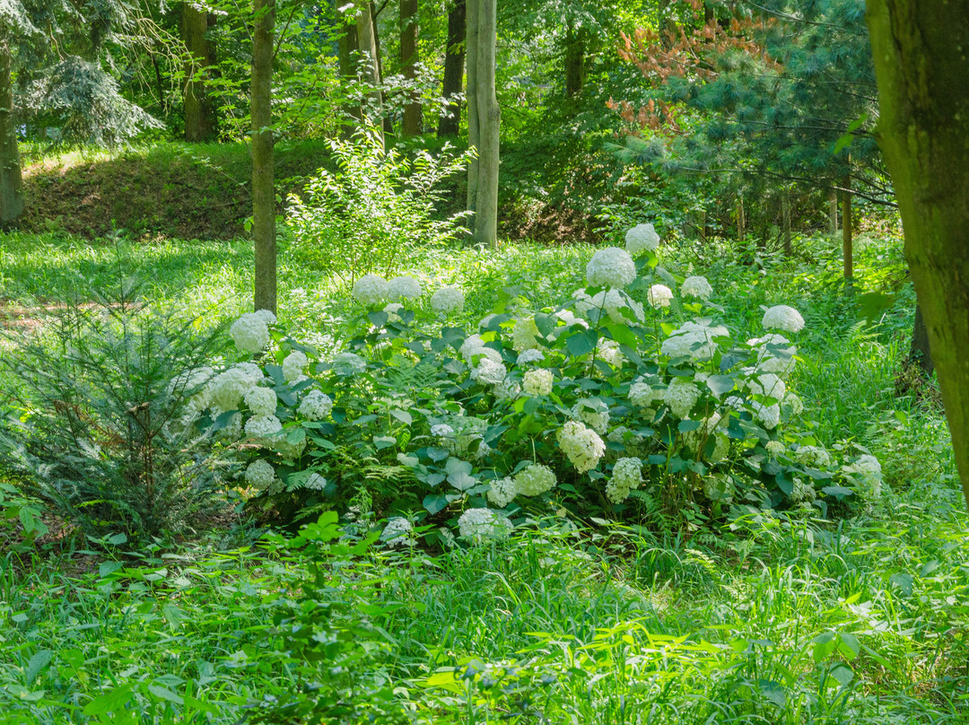 Park Zamkowy W Mosznej景点图片