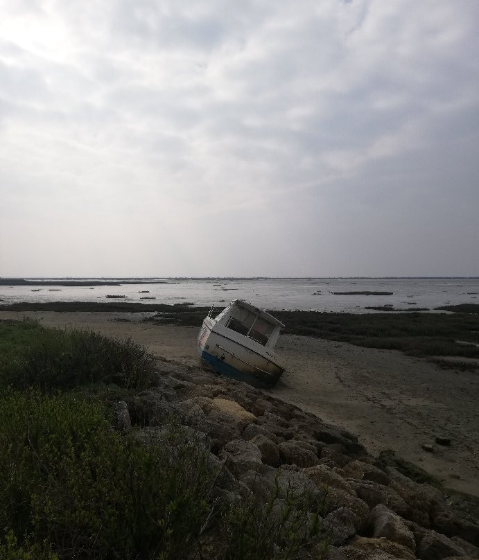 Domaine de Certes et Graveyron-Audenge必去景点