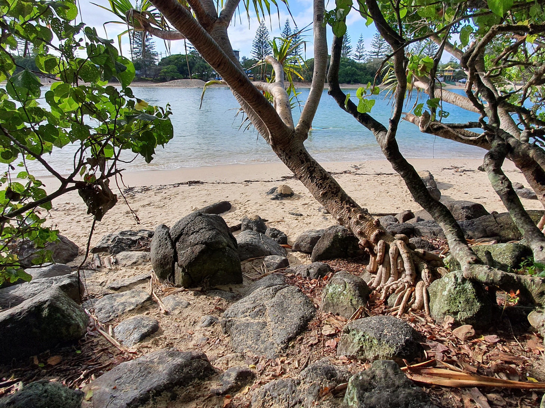 Rainforest Track-伯利角必去景点