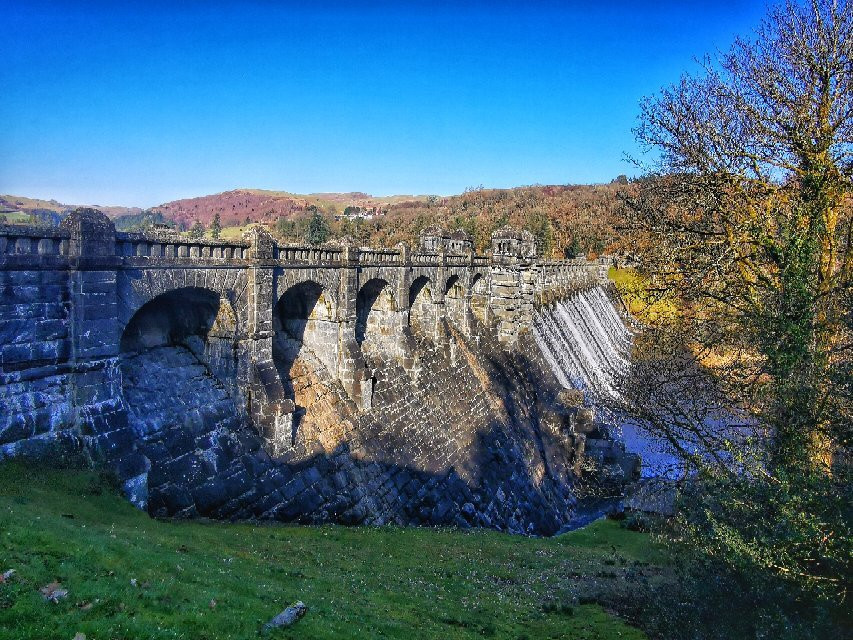 RSPB Lake Vyrnwy-奥斯沃斯特必去景点