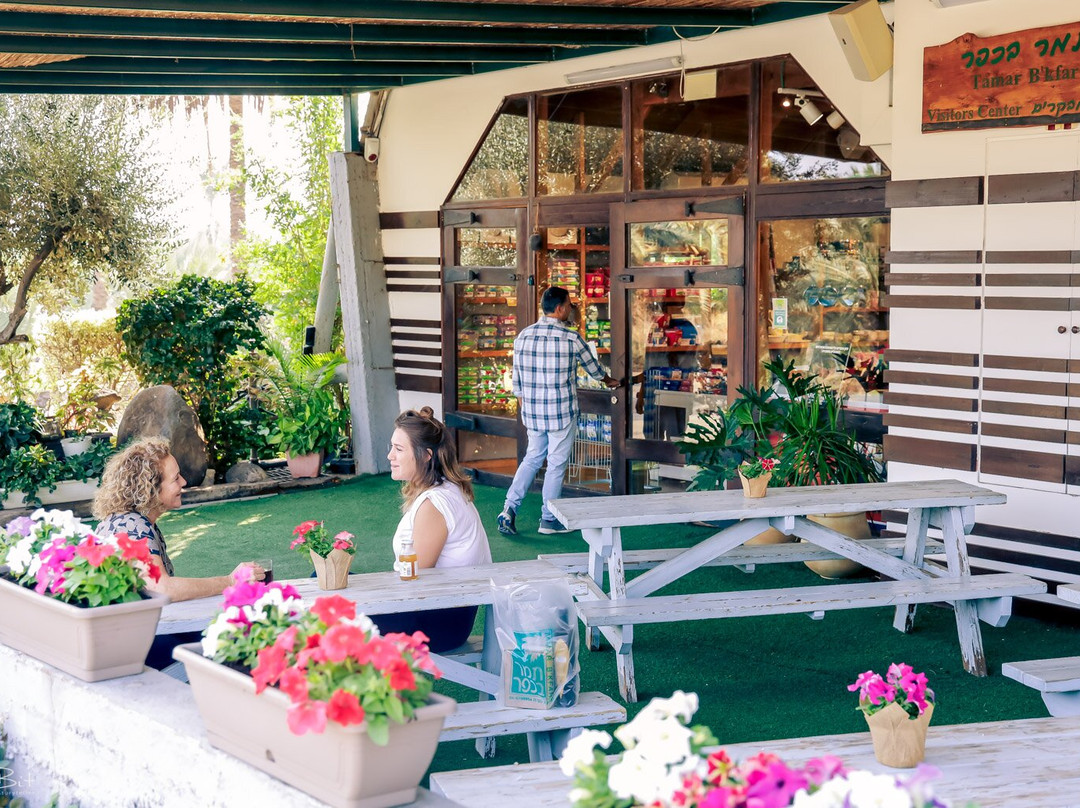 Tamar Bakfar-Kinneret必去景点