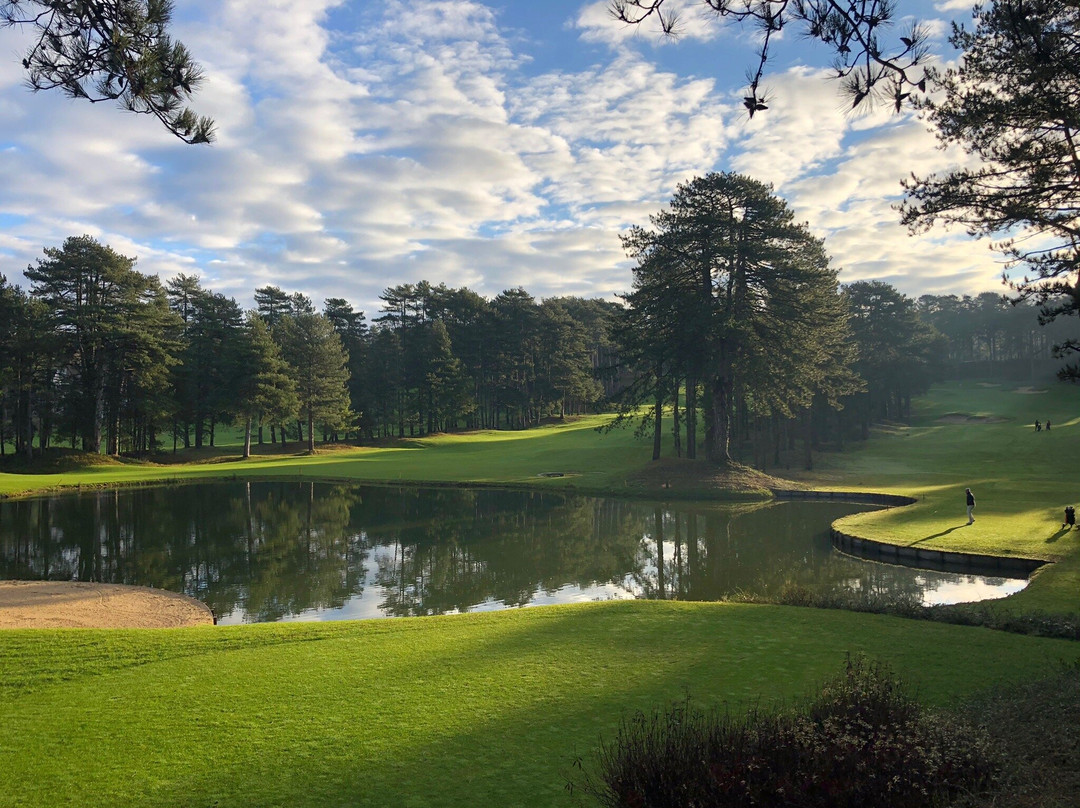 Golf d'Hardelot景点图片