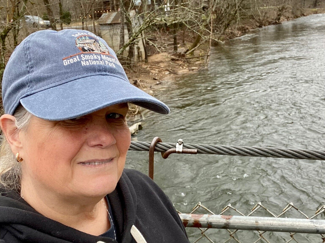Dark Island Swinging Bridge-汤森必去景点