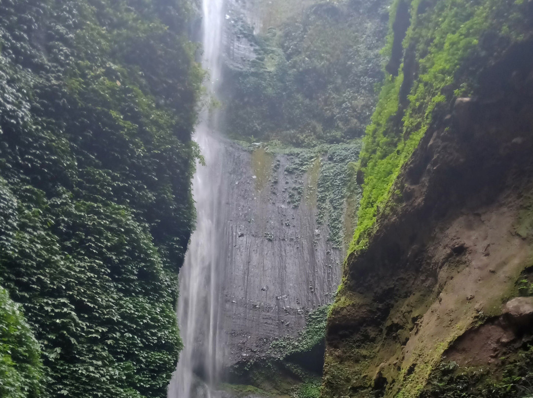 Bromo Ijen Tour Package-玛琅必去景点