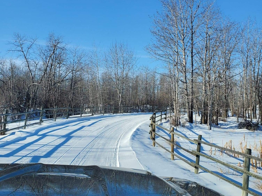 An Intimate Garden B&B主图