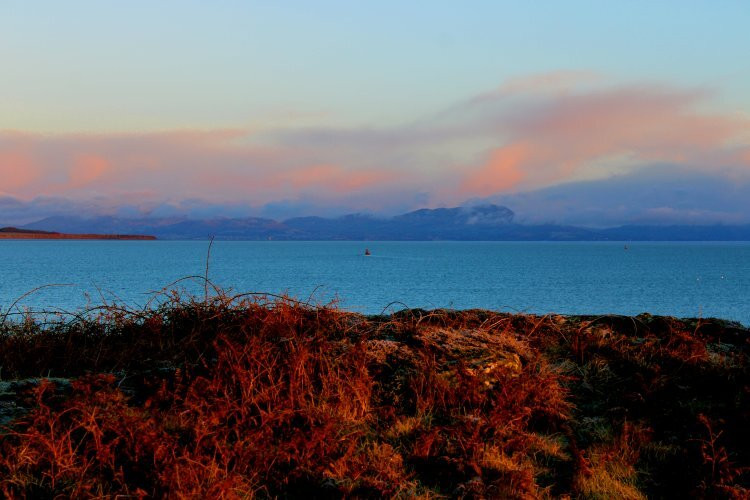 Clogherhead Headland Walk-Clogherhead必去景点