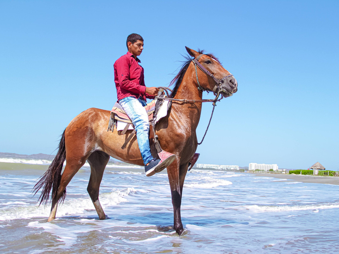 Tour en caballo por la playa景点图片