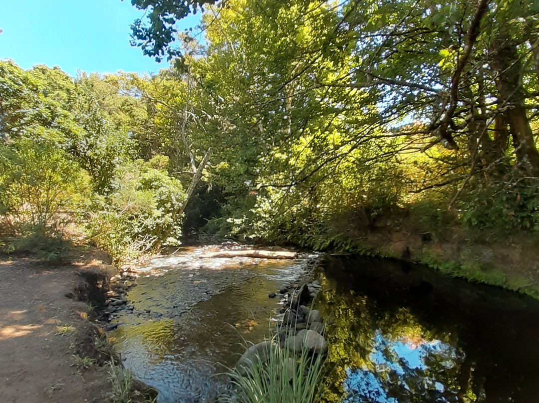 Ohakune Carrot Adventure Park景点图片
