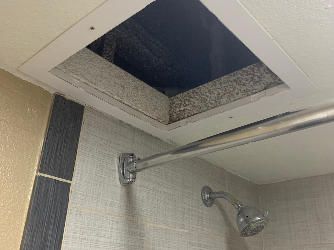 Super 8 by Wyndham Kingsville主图