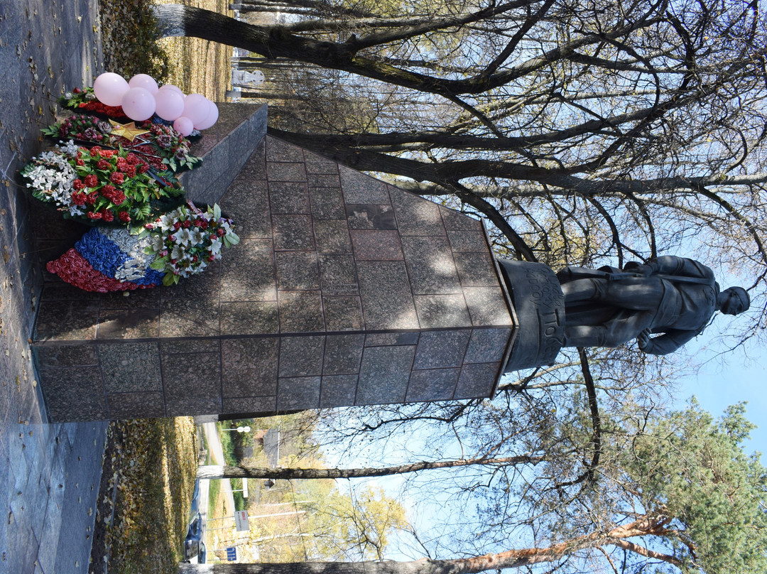 Monument to the Soldier-Liberator景点图片