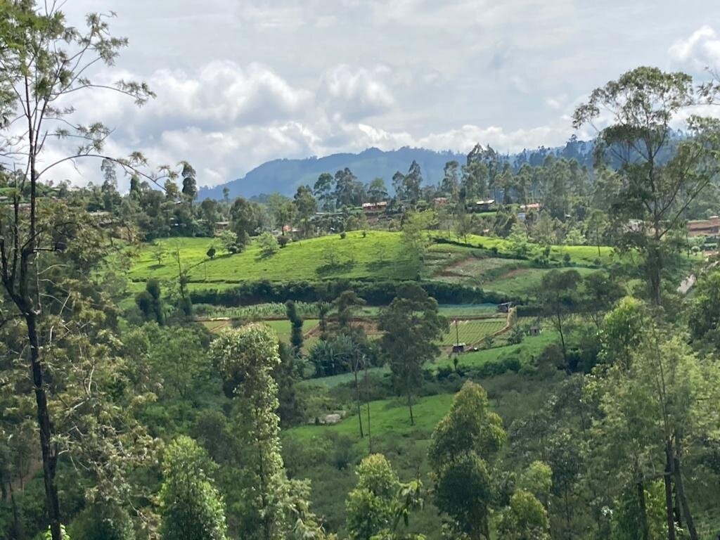 斯塔福德别墅酒店主图