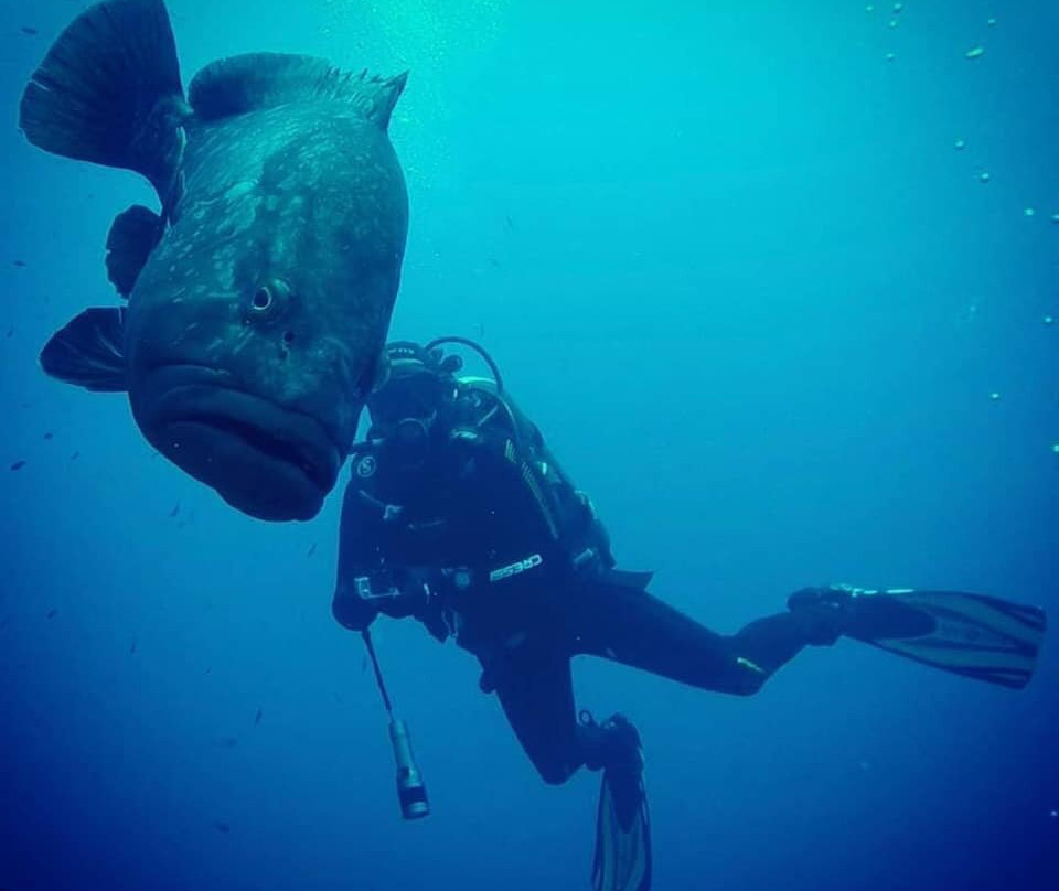 Dive Center Blu景点图片