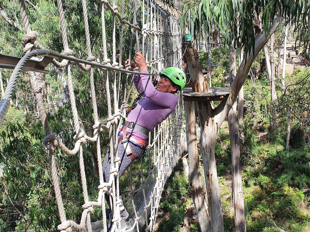 Live Wire Park-洛恩必去景点