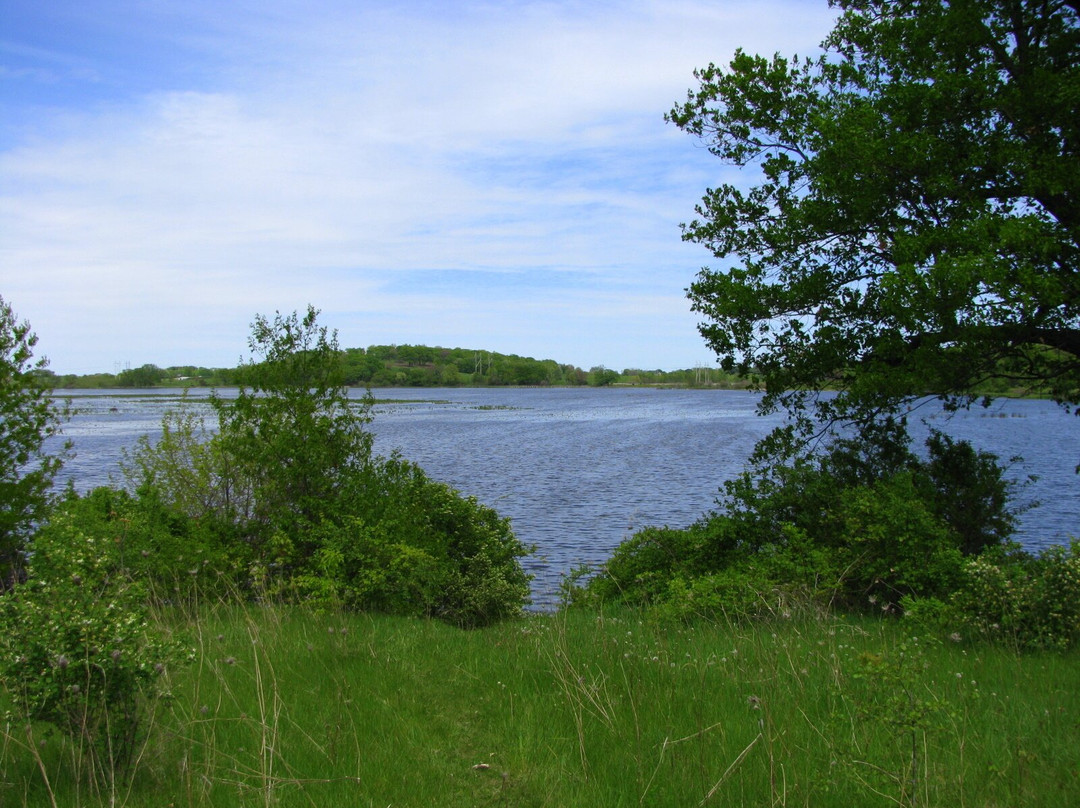 Dorothy Carnes County Park & Rose Lake State Natural Area景点图片