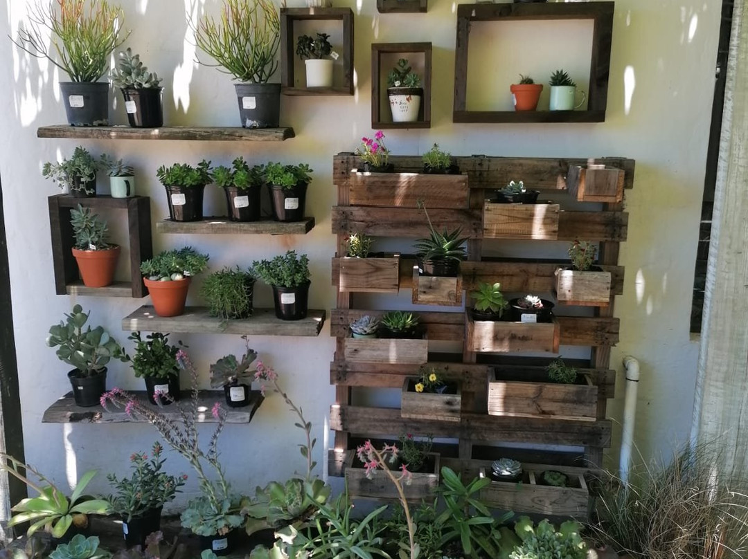 ReedValley-莫塞尔贝必去景点