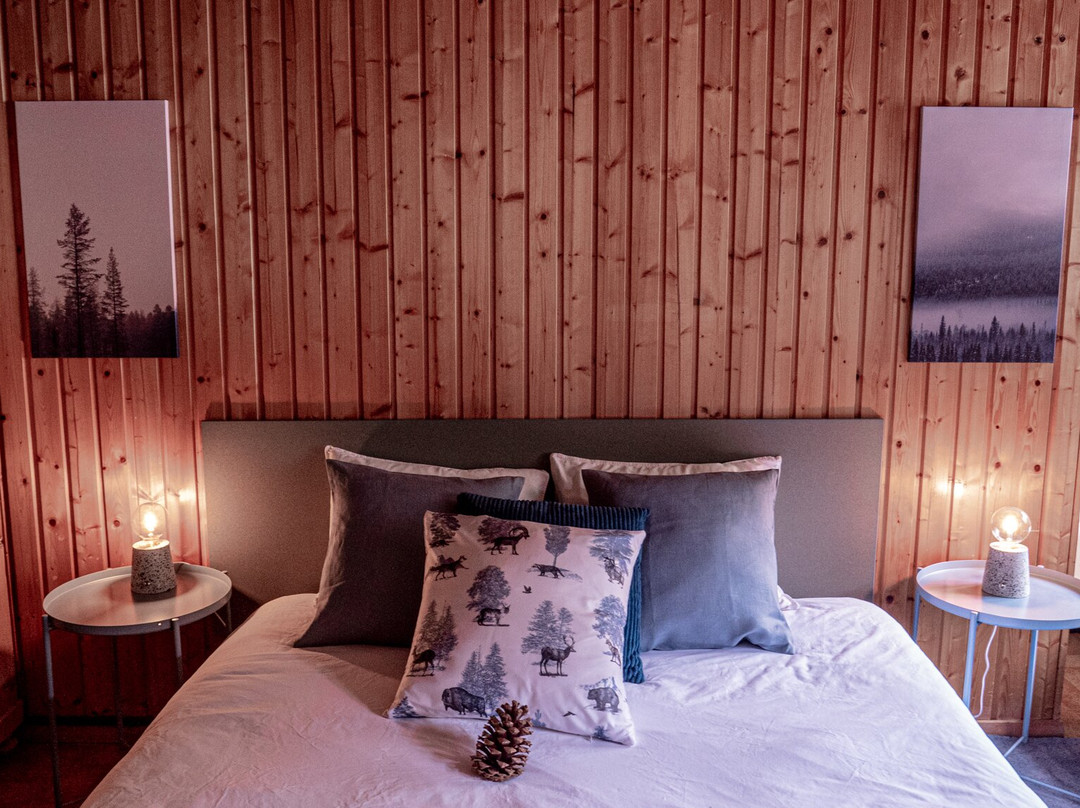 Relais des Melezes主图