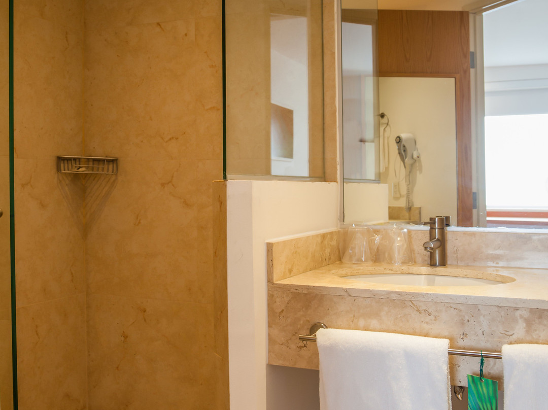 ONE Toluca Aeropuerto主图