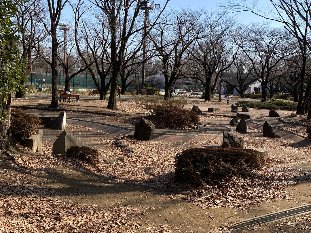 Fuchunomori Park景点图片