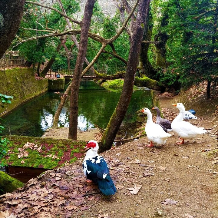 Rema Ton Mylwn-Evrostina必去景点