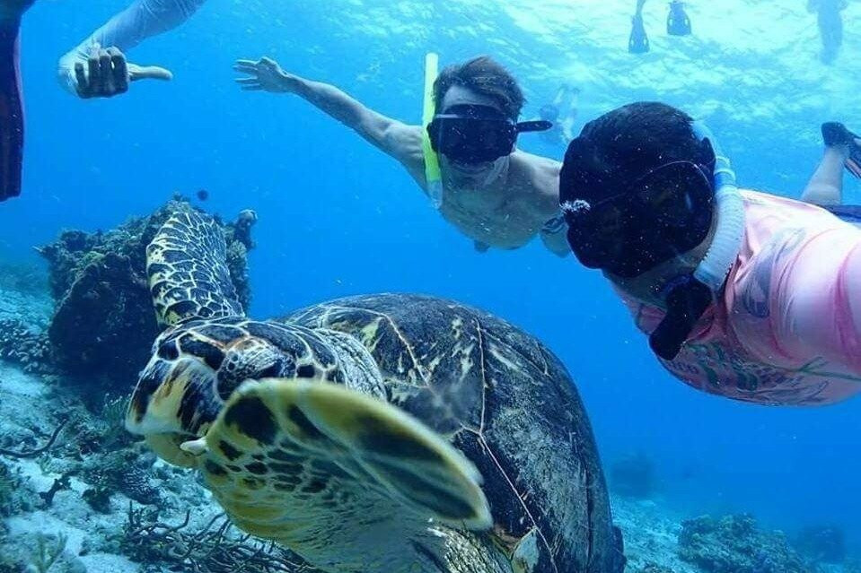 Cancun Smart Pass-坎昆必去景点