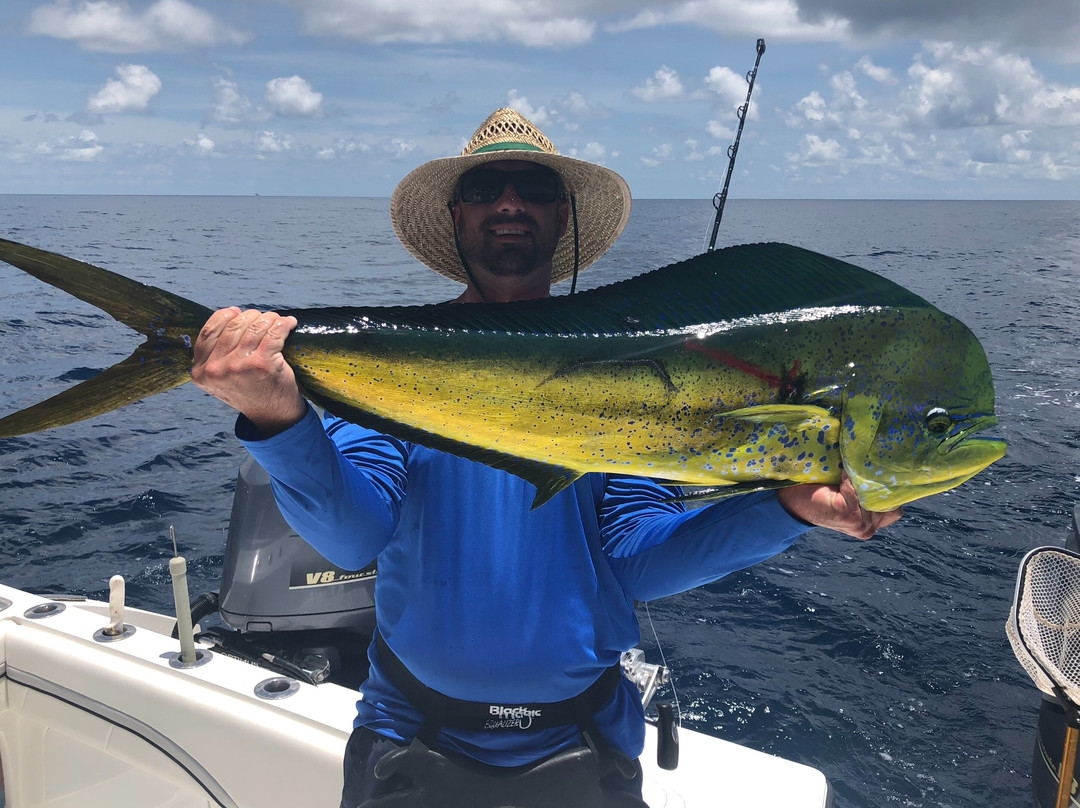 Paradise Outfitters-Venice必去景点