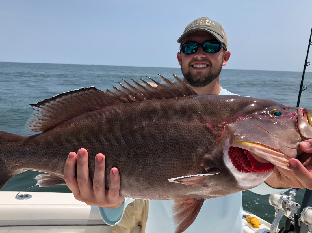 Paradise Outfitters-Venice必去景点