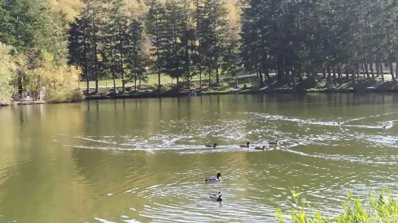 Lago Di Acquapartita景点图片