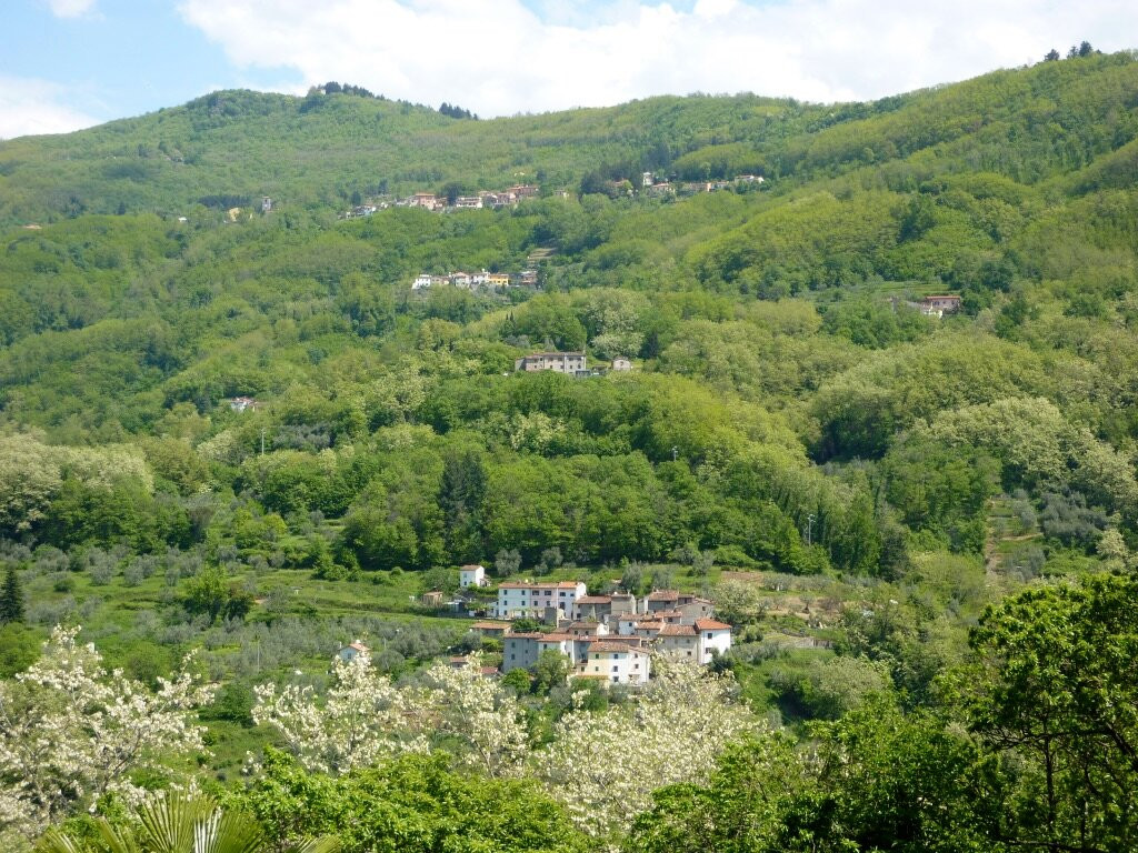 Cireglio旅游攻略图片