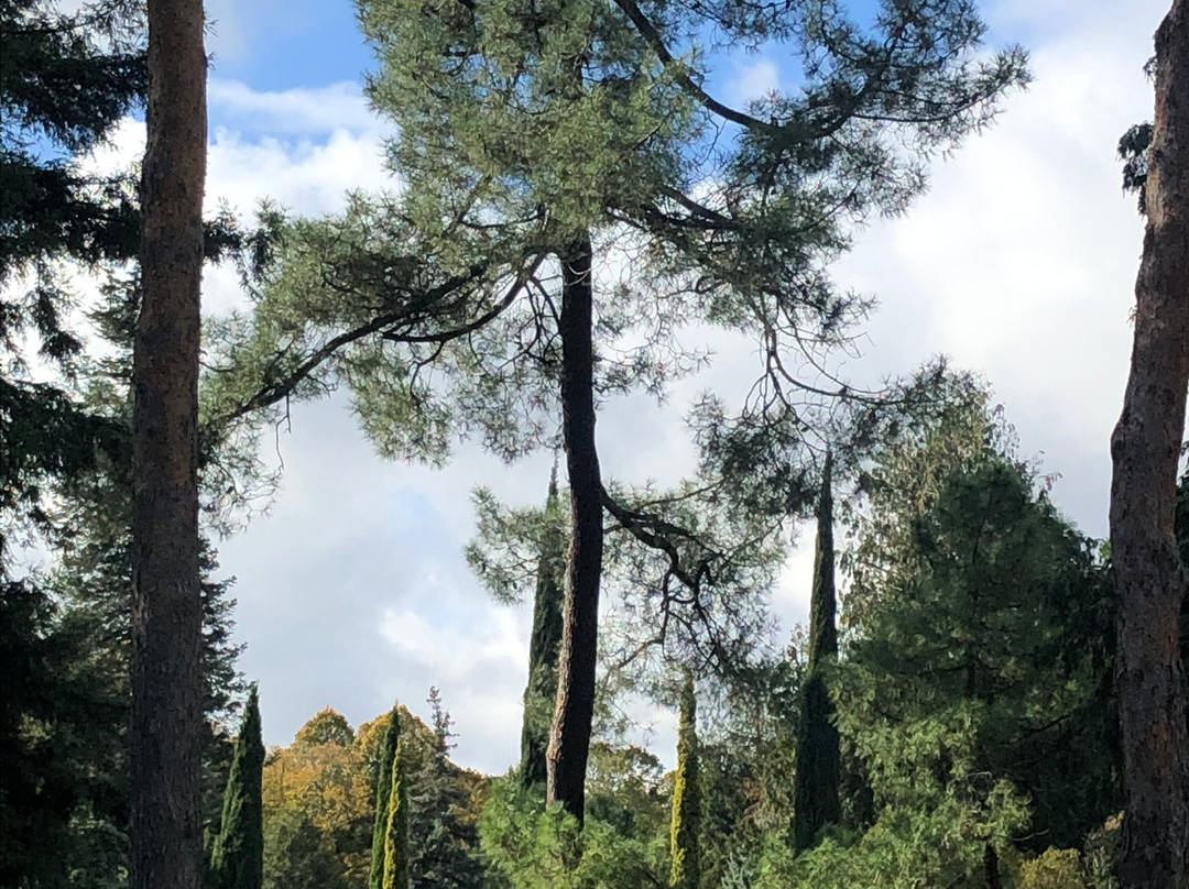 Arboretum de Versailles-Chevreloup景点图片