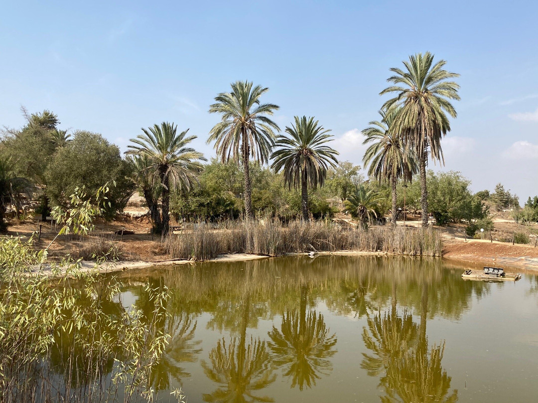 Neot Kedumim Biblical Landscape Reserve-Modiin必去景点