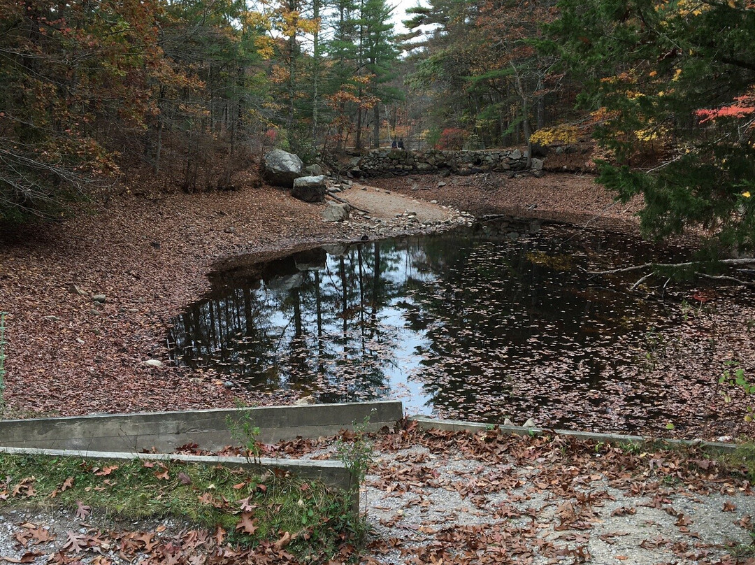 Noanet Woodlands景点图片