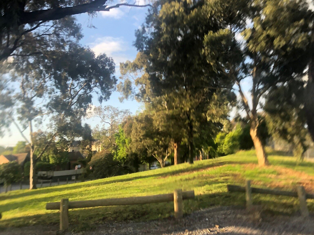 Marion Street Reserve-布莱顿必去景点