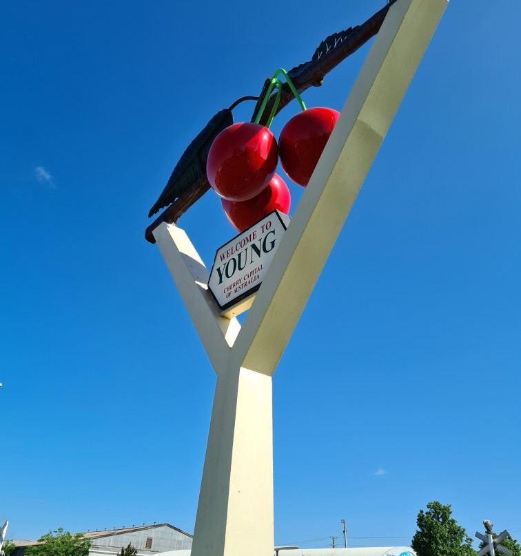 Young Visitor Information Centre-Young必去景点