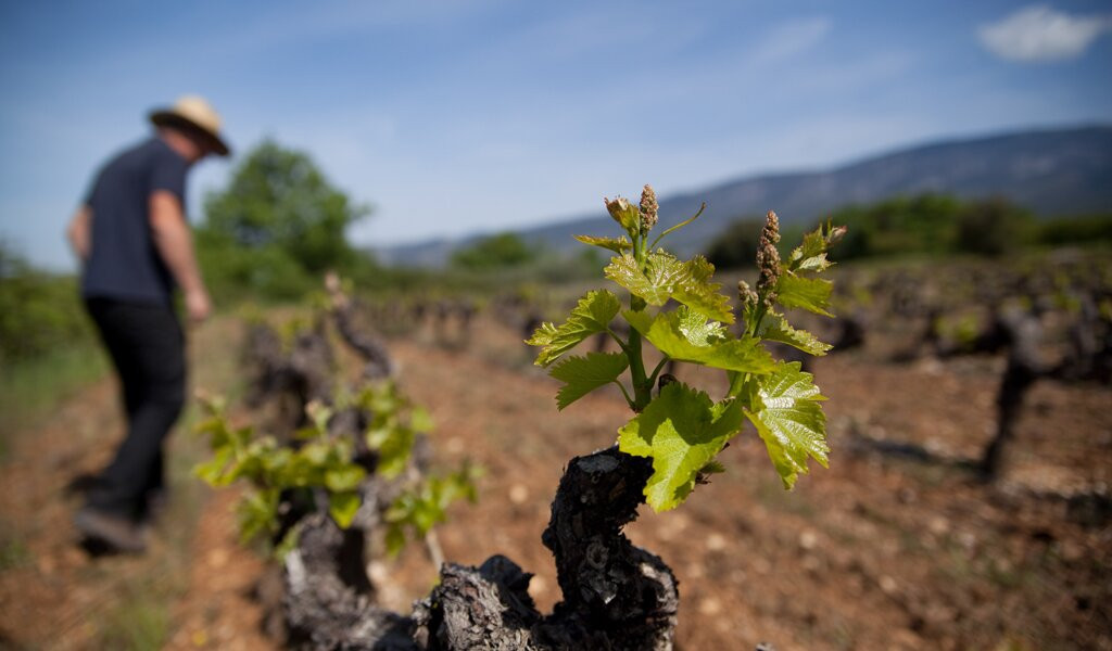 Domaine Les Patys-Bedoin必去景点