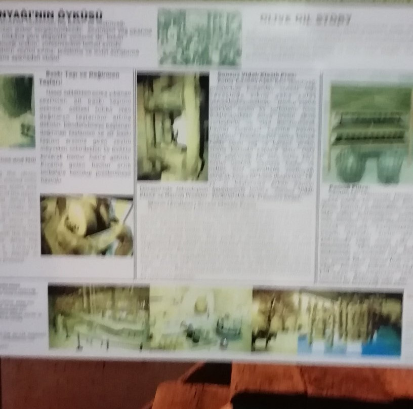 Zeytin ve Zeytinyağı Tarihi Müzesi-库萨达斯必去景点