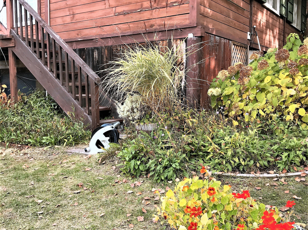 Pension Image House主图